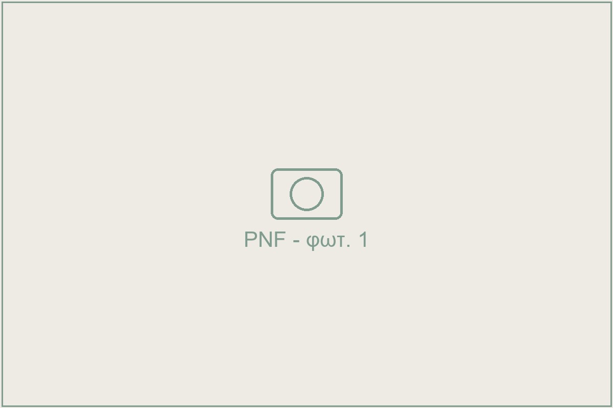 PNF στο NeuroLand — προς αντικατάσταση