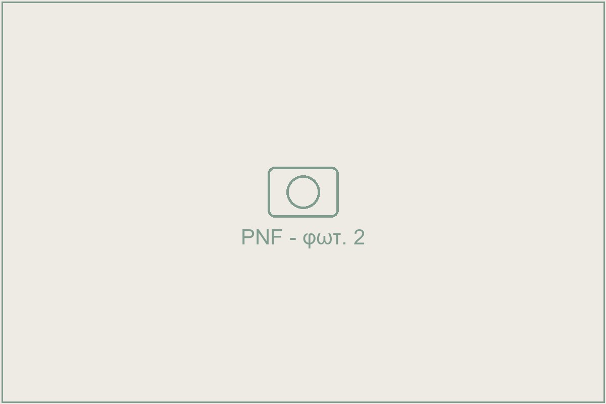 PNF στο NeuroLand — προς αντικατάσταση